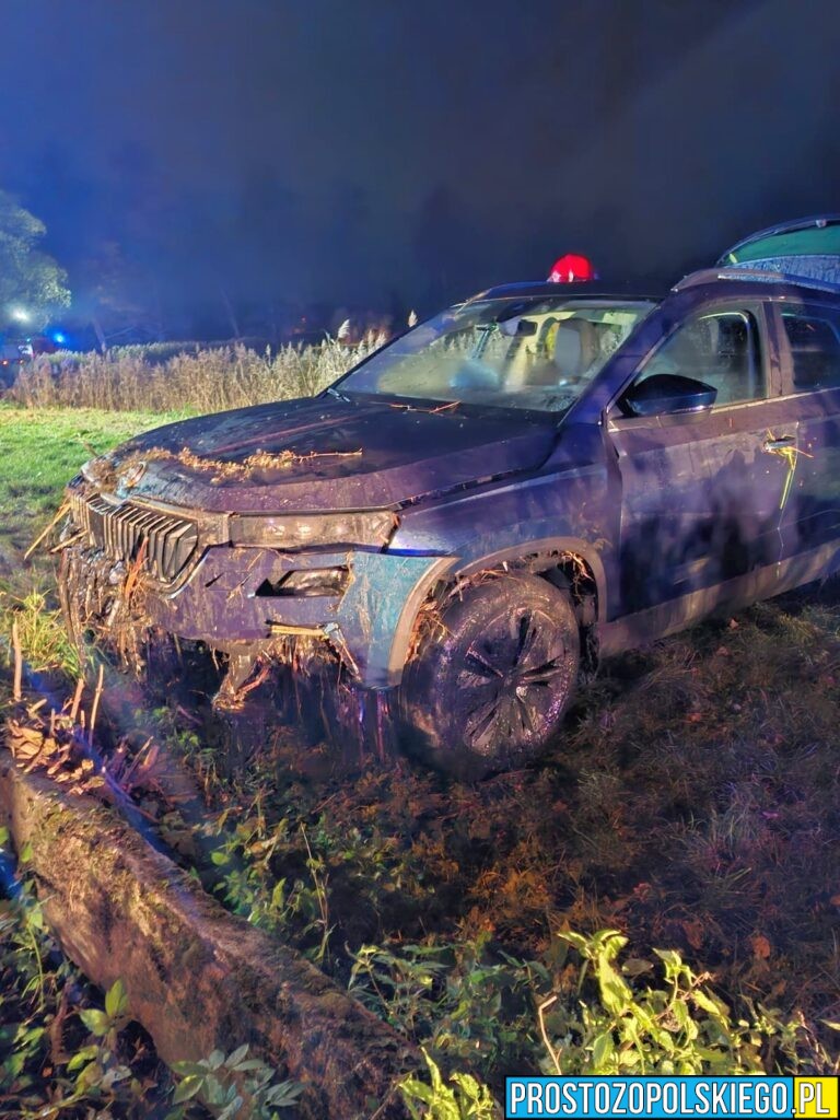 samochód w stawie, strażacy wyciągali samochód z wody, auto w wodzie, auto w stawie, kiewoca w aucie, auto wjechało do wody,