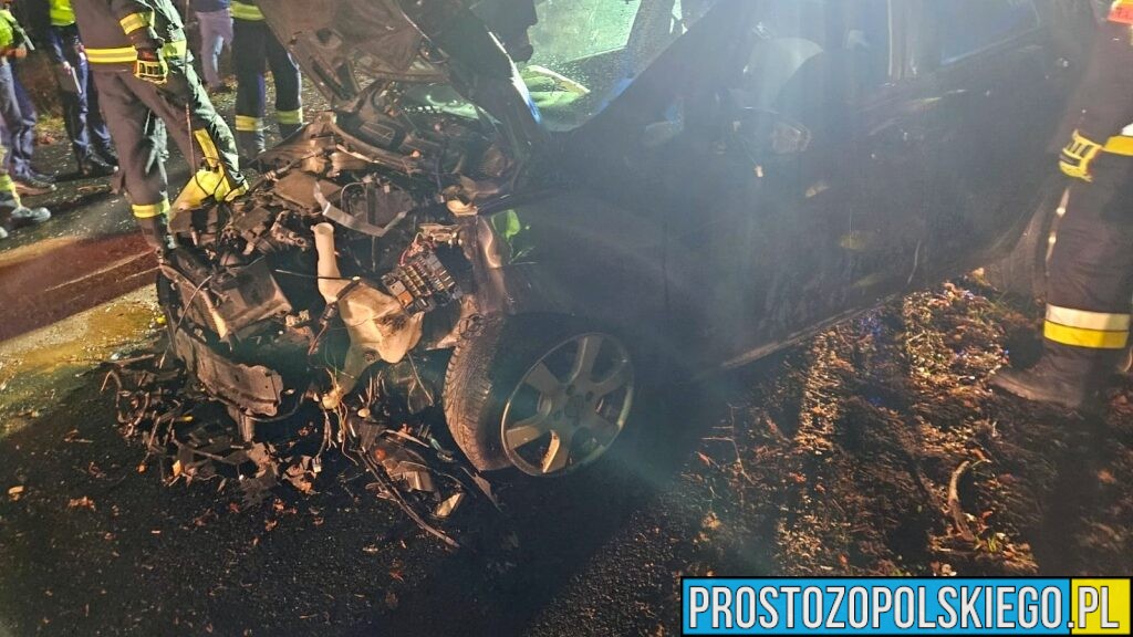 Dąbrówka Łubniańska: Kierowca Forda uderzył w drzewo na ul. Oleskiej – trafił do szpitala