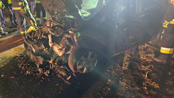 Dąbrówka Łubniańska: Kierowca Forda uderzył w drzewo na ul. Oleskiej – trafił do szpitala