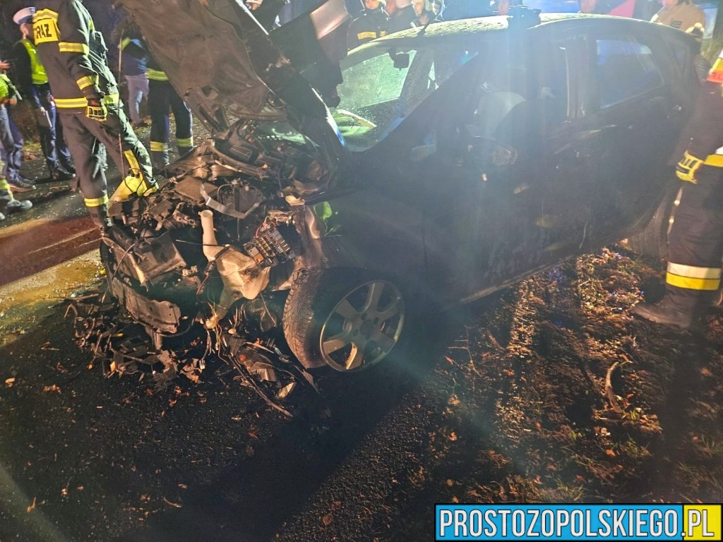 Dąbrówka Łubniańska: Kierowca Forda uderzył w drzewo na ul. Oleskiej – trafił do szpitala