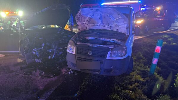 Poważny wypadek na DK39 pomiędzy Bukową Śląska a Iglowicami w powiecie namysłowskim. Jedna osoba trafiła do szpitala