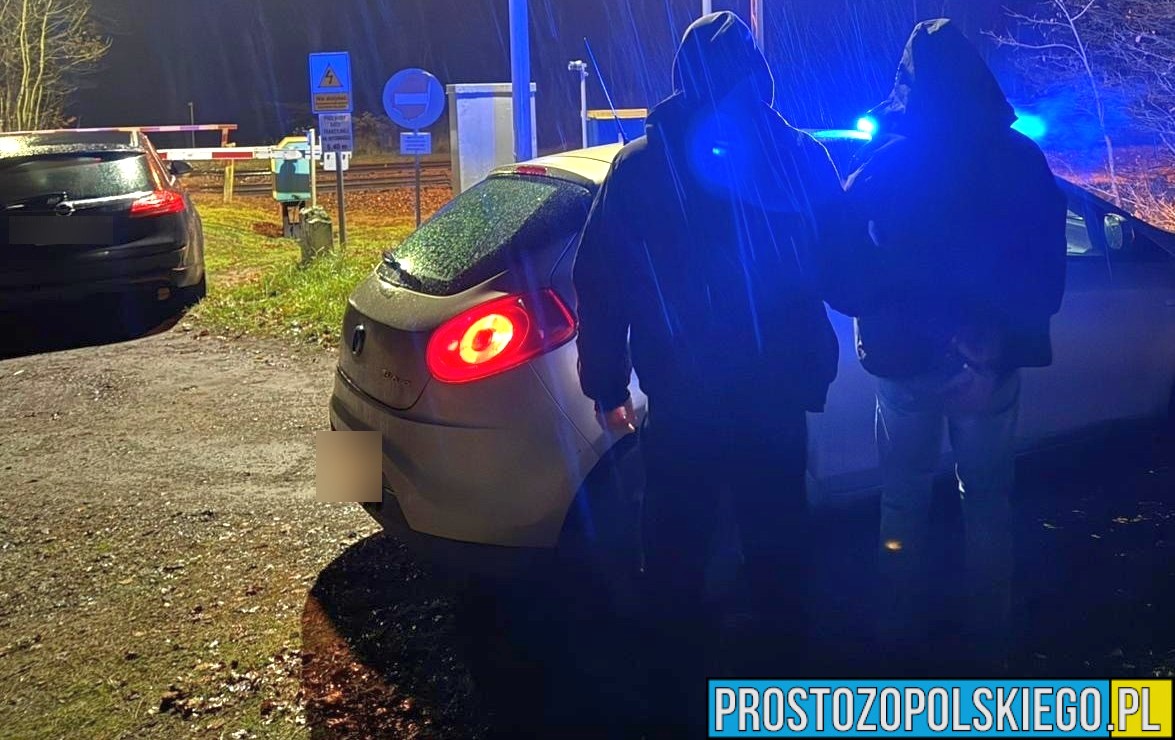 38-latek pod wpływem amfetaminy uderzył w drzewo. Świadek zareagował wzorowo i zablokował przejazd