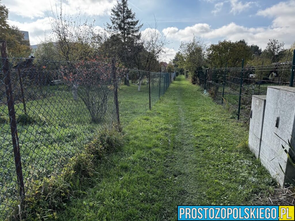 Koniec sezonu działkowego. Policja apeluje o zabezpieczenie altanek i mienia przed zimą
