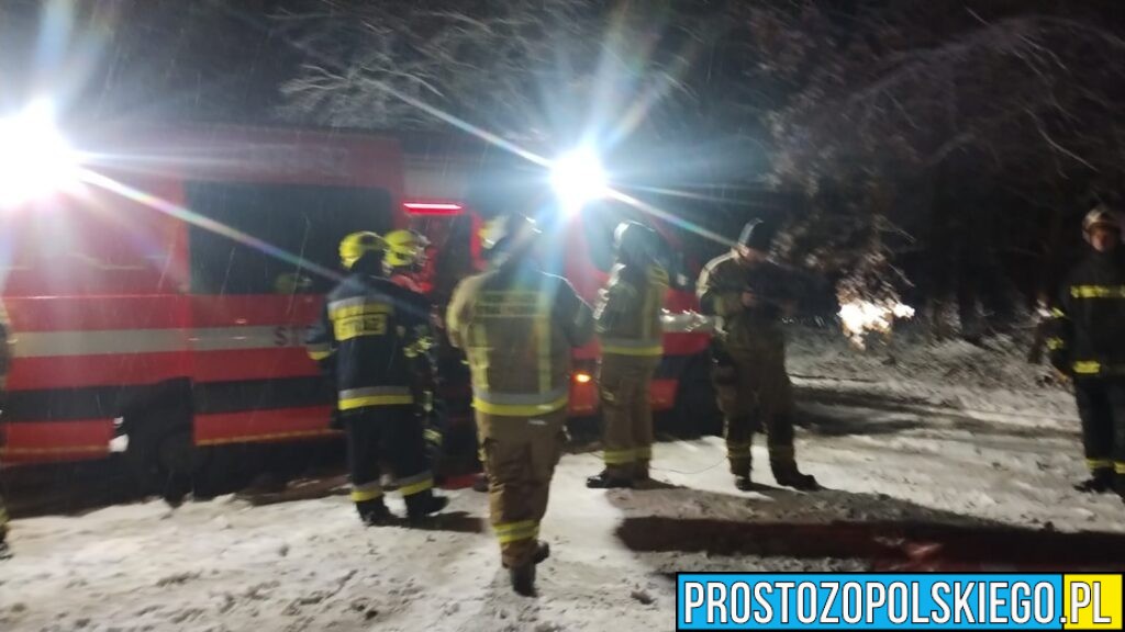 Tragiczny finał poszukiwań 78-latka z Niemodlina. Ciało mężczyzny odnaleziono w powiecie nyskim