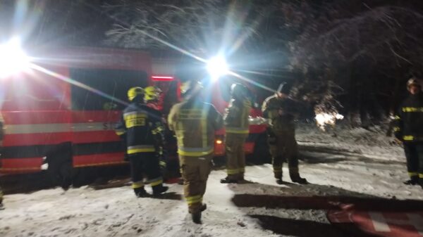 Tragiczny finał poszukiwań 78-latka z Niemodlina. Ciało mężczyzny odnaleziono w powiecie nyskim