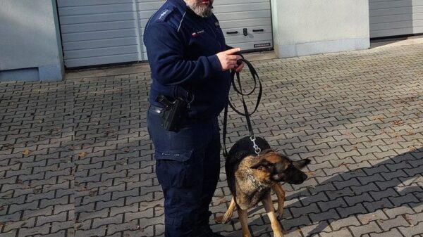 Jadąc na tropienie do włamania zauważył samochód w rowie. Okazało się...