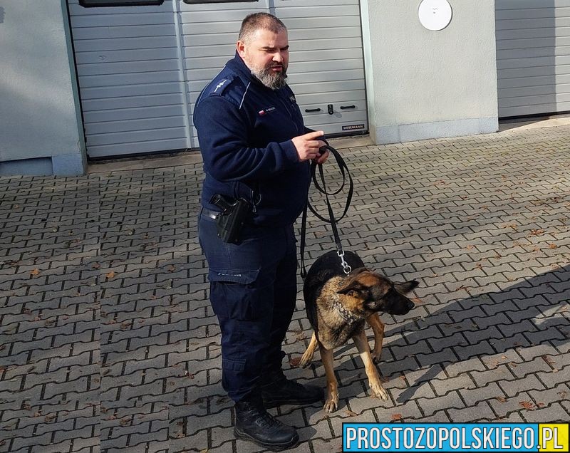 Jadąc na tropienie do włamania zauważył samochód w rowie. Okazało się...