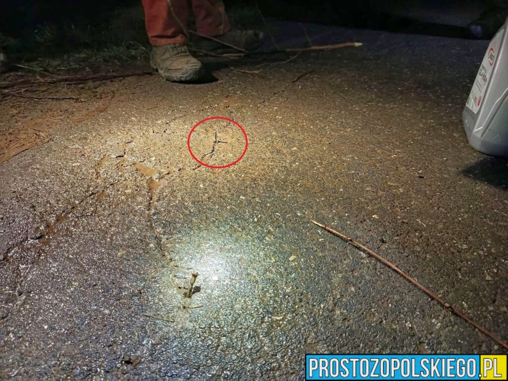 Pokrzywnica: Metalowe elementy powbijane w jezdnię. Policja poszukuje świadków
