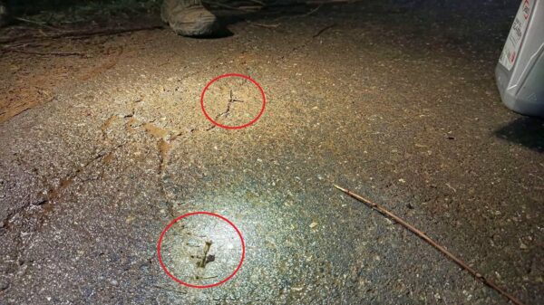 Pokrzywnica: Metalowe elementy powbijane w jezdnię. Policja poszukuje świadków