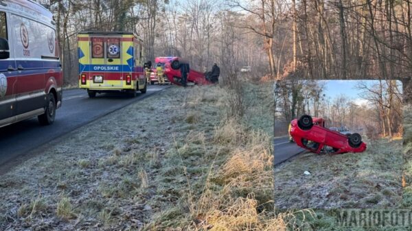Dachowanie samochodu w Miedzianej. Jedna osoba trafiła do szpitala