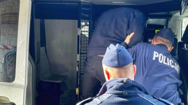 33-letni obywatel Gruzji zatrzymany za serię kradzieży