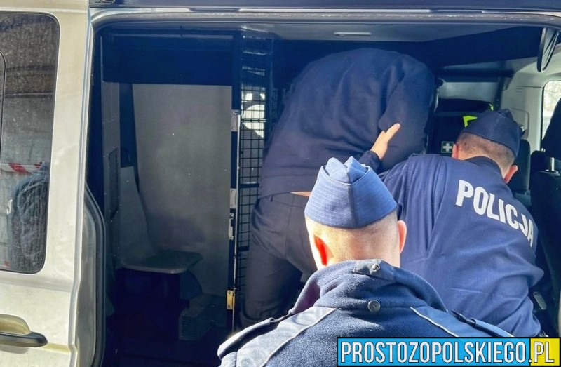 33-letni obywatel Gruzji zatrzymany za serię kradzieży