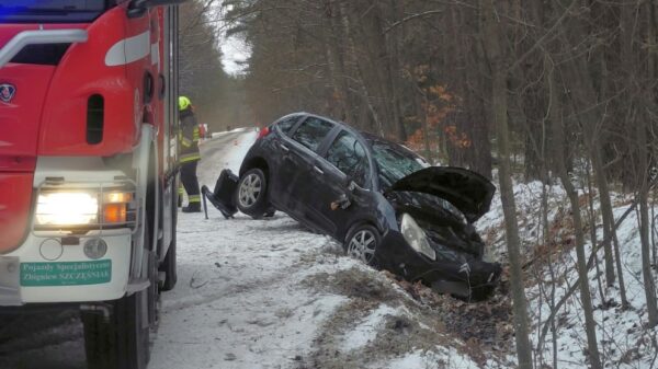 Wypadek w Nowej Schodni. Samochód wpadł do rowu – w aucie podróżowała dwójka dzieci