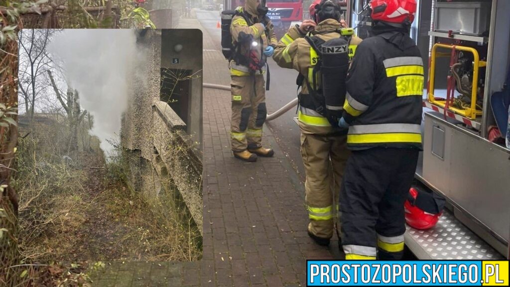 Pożar pustostanu przy ul. Poprzecznej w Kędzierzynie-Koźlu. Interweniowała straż pożarna