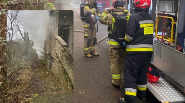 Pożar pustostanu przy ul. Poprzecznej w Kędzierzynie-Koźlu. Interweniowała straż pożarna