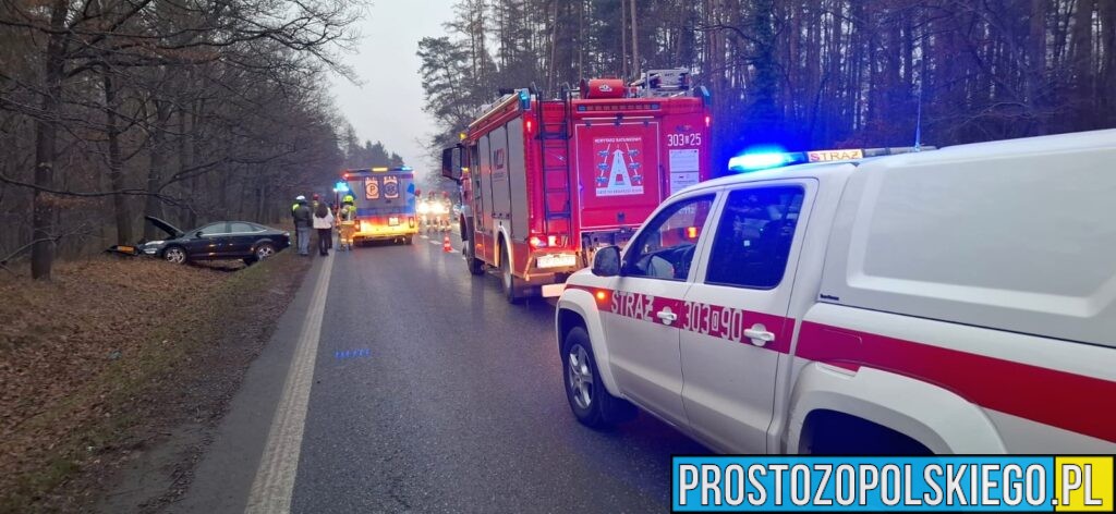 Wypadek na&nbsp;DK46 w&nbsp;Lesie Dąbrowskim. Jedna osoba trafiła do&nbsp;szpitala
