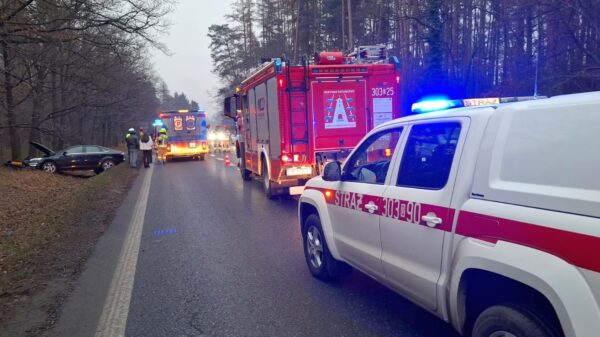 Wypadek na DK46 w Lesie Dąbrowskim. Jedna osoba trafiła do szpitala