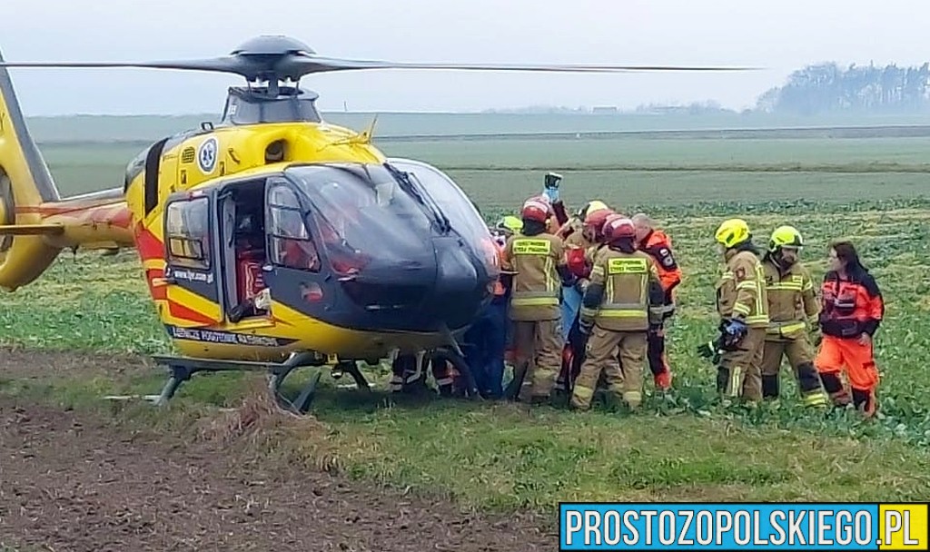 wypadek krapkowice, wypadek koło karpkowic, wypadek , poważny wypadek , wypadek na dw 409, ladowały dwa lpr, lądował helikopter plr,