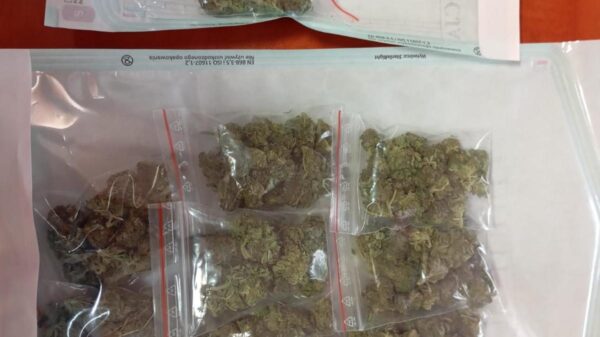 Opole: 42-latek i 35-latek z zarzutami narkotykowymi. Grozi im 3 lata więzienia