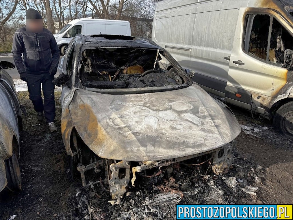 Pożar czterech pojazdów na ul. Wspólnej w Opolu. Sprawę bada policja