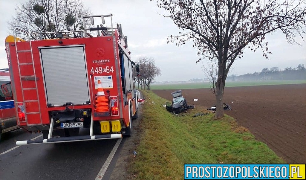 wypadek krapkowice, wypadek koło karpkowic, wypadek , poważny wypadek , wypadek na dw 409, ladowały dwa lpr, lądował helikopter plr,