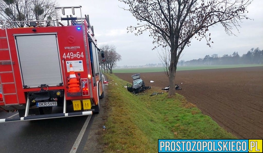 wypadek krapkowice, wypadek koło karpkowic, wypadek , poważny wypadek , wypadek na dw 409, ladowały dwa lpr, lądował helikopter plr,