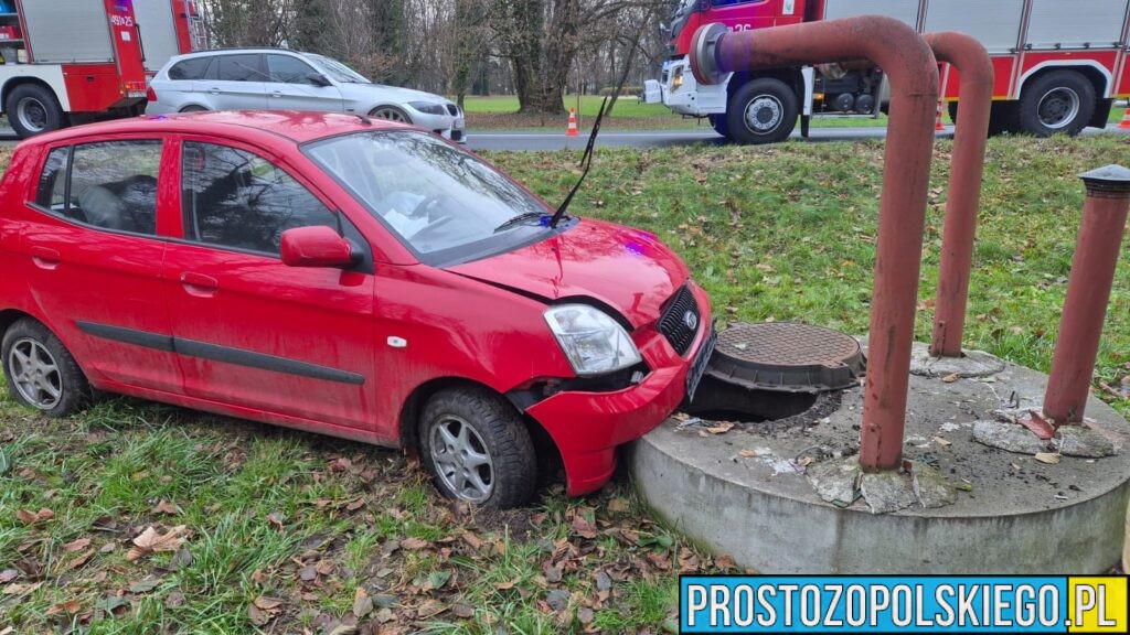 Zdarzenie drogowe na ul. Parkowej w Strzelcach Opolskich. Kierująca trafiła do szpital