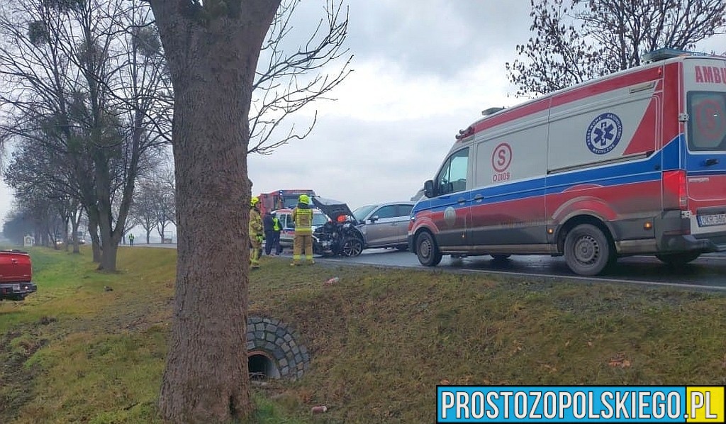 wypadek krapkowice, wypadek koło karpkowic, wypadek , poważny wypadek , wypadek na dw 409, ladowały dwa lpr, lądował helikopter plr,