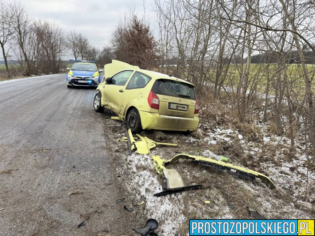 Zdarzenie drogowe między Pawłowicami Namysłowskimi a&nbsp;Dalborowicami. 18-latka wpadła w&nbsp;poślizg