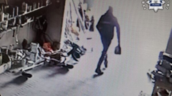 Ukradł piłę spalinową, a potem wrócił się po łańcuch do kompletu – 34-latek odpowie za serię kradzieży