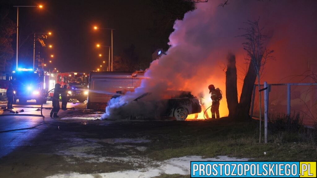 Pożar samochodów na ul. Wspólnej w Opolu. Spłonęły trzy auta osobowe i bus