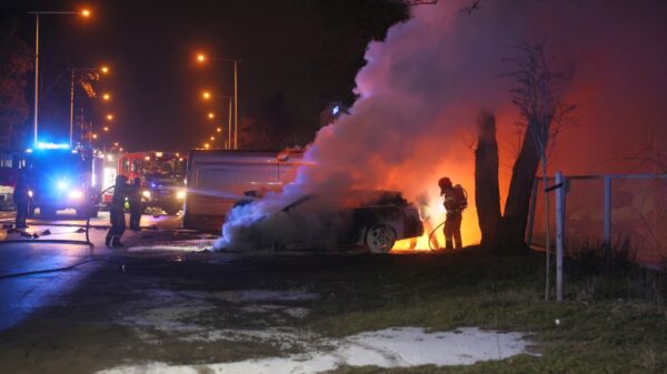 Pożar samochodów na ul. Wspólnej w Opolu. Spłonęły trzy auta osobowe i bus