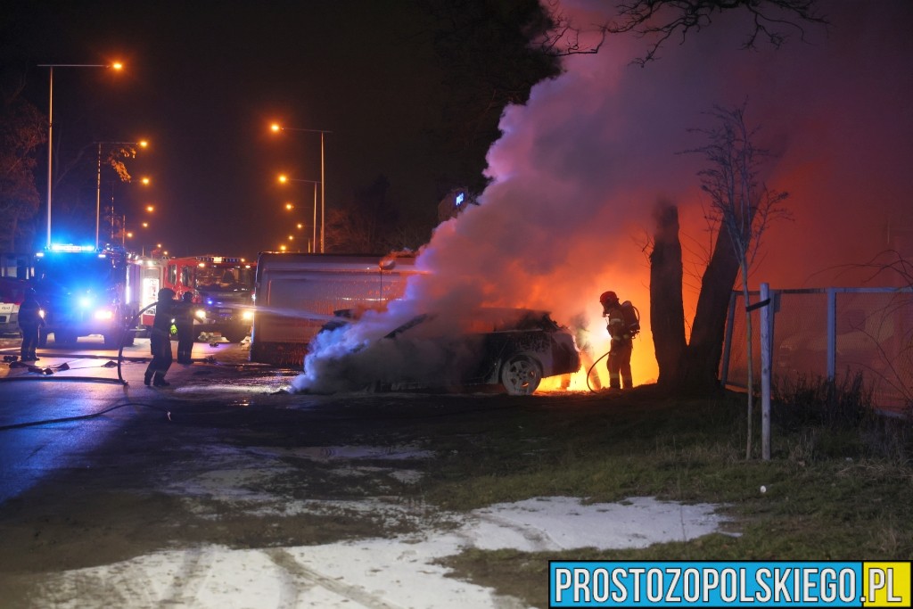 Pożar samochodów na&nbsp;ul. Wspólnej w&nbsp;Opolu. Spłonęły trzy auta osobowe i&nbsp;bus