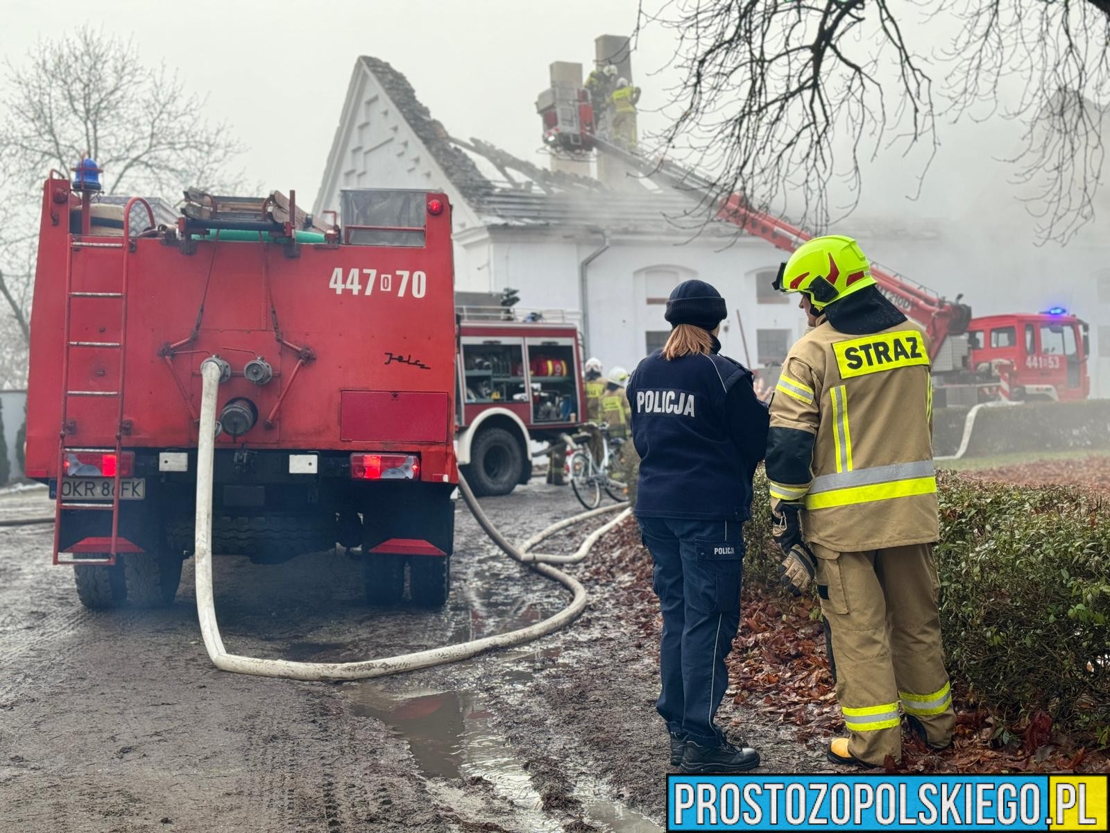 Groźny pożar w stadninie koni w Mosznej. Ewakuowano ponad 20 koni, jedna osoba uratowała się w porę