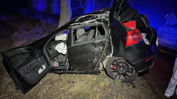 Wypadek drogowy w Popielowie. Auto uderzyło w bariery i drzewo