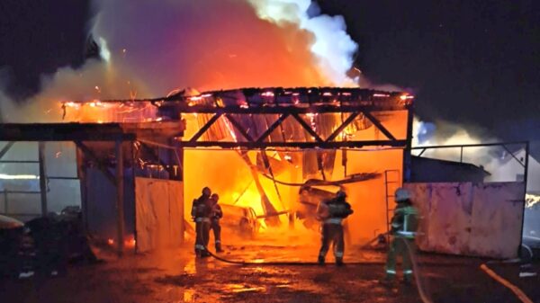 Pożar warsztatu samochodowego w Malerzowicach Wielkich. W środku dwa pojazdy