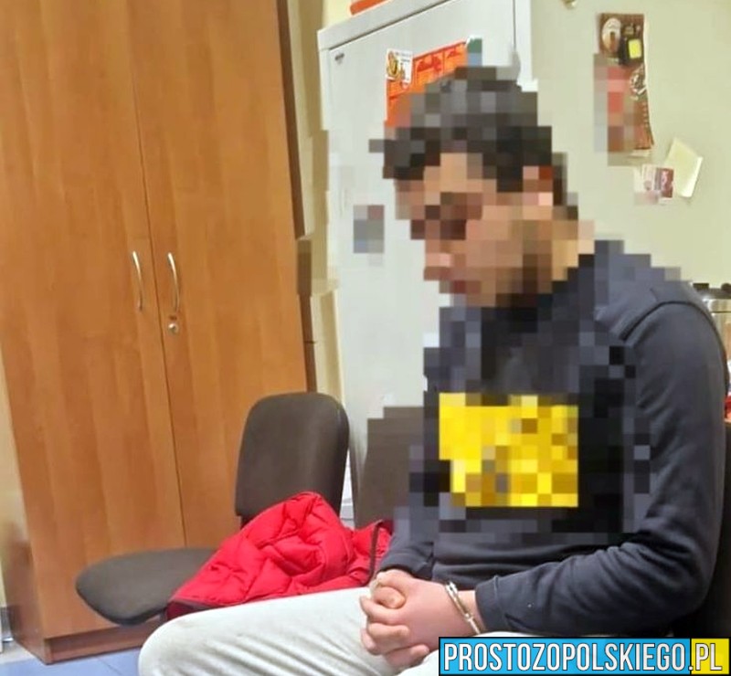 Prudniccy kryminalni zatrzymali 20-latka za narkotyki