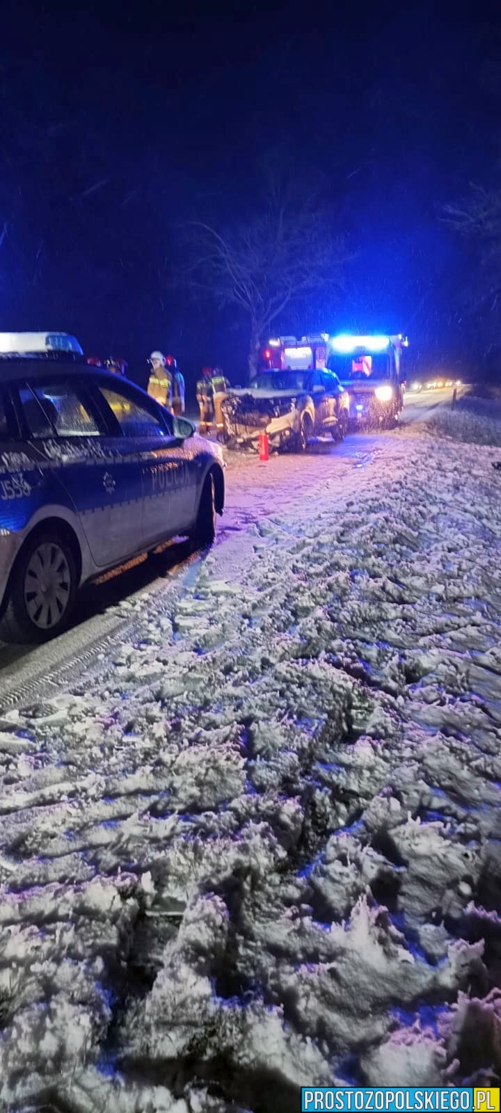 Zdarzenie drogowe na&nbsp;DK42. Droga zablokowana między Gręboszowem a&nbsp;Domaszowicami