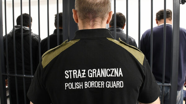 Nielegalne zatrudnianie cudzoziemców. Straż Graniczna zatrzymała 10 obcokrajowców w powiecie namysłowskim