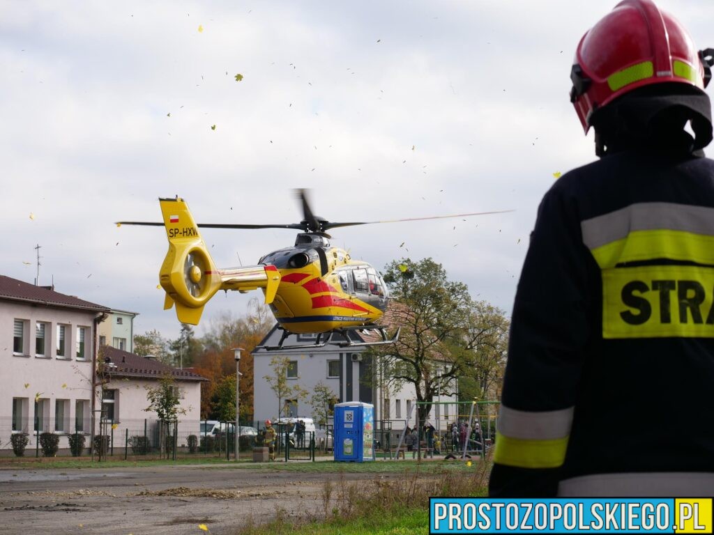 Tragiczny wypadek w&nbsp;Oleśnie. Mężczyzna spadł z&nbsp;drzewa, na&nbsp;miejsce wezwano LPR