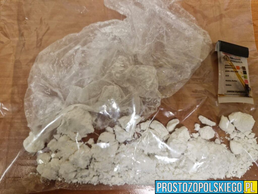 Gmina Biała: Kryminalni z&nbsp;Prudnika zatrzymali trio z&nbsp;narkotykami. Kierowca złamał sądowy zakaz