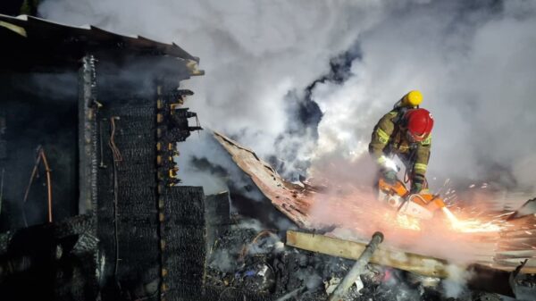 Pożar domku letniskowego w Michalicach.