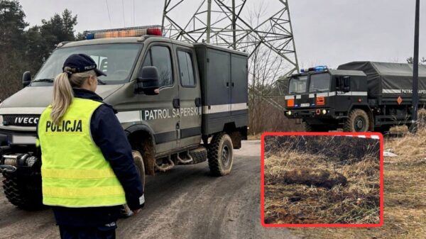 Niebezpieczne znalezisko w Bierawie. Niewybuch na terenie powiatu kędzierzyńsko-kozielskiego