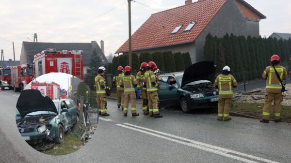 Wypadek drogowy w Polskiej Nowej Wsi. Samochód osobowy uderzył w ogrodzenie