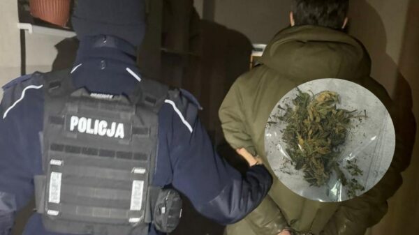 Kluczbork: 41-latek zatrzymany z narkotykami. Policjanci wyczuli woń marihuany na klatce schodowej
