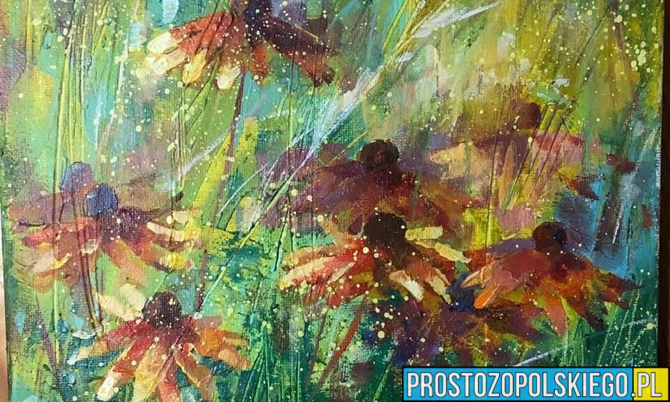 Finał WOŚP 2026 w Opolu. Aukcja Sztuki Druch Atelier i wyjątkowe atrakcje