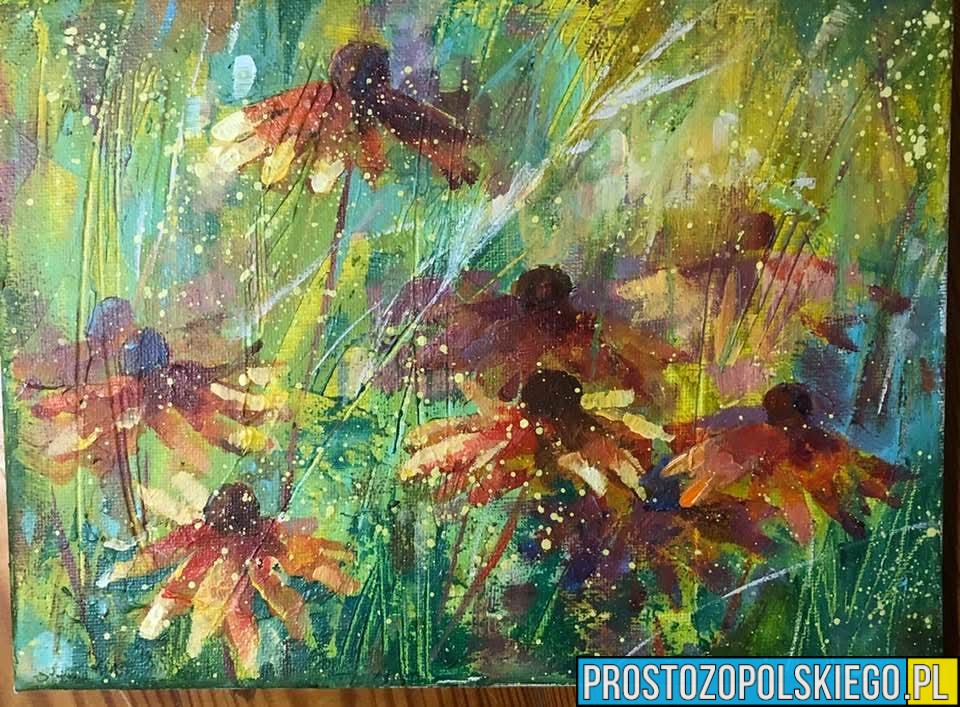 Finał WOŚP 2026 w Opolu. Aukcja Sztuki Druch Atelier i wyjątkowe atrakcje