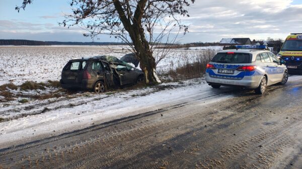 Wypadek w Ziemiełowicach. Samochód uderzył w drzewo