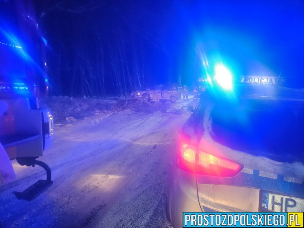 wypadek taksówki, wypadek masów, wypadek gmina łubniany, wypadek koło&nbsp;masowa, taksówka uderzyła w&nbsp;drzewo, wypadek taksówki, kierował obcokrajowiec,