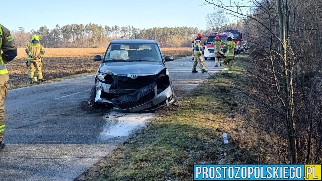 Wypadek między Domaszowicami a Siemysłowem. Samochód osobowy wpadł do rowu